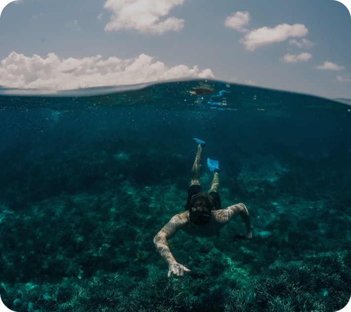 A diver in the process of Diving